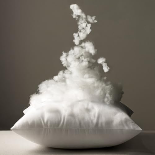 MIULEE 24x24 Pillow Inserts Pack of 2,Down Alternative Throw Pillows
