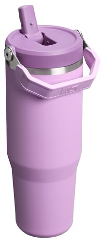 STANLEY IceFlow 2.0 30 oz Lilac Flip Straw Tumbler with Leakproof Lid