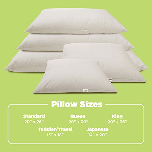 Organic Kapok Pillow Queen 20x30 Inches - Supportive Eco-Friendly Bedding