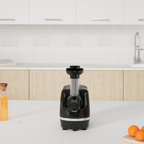 Omega H3000D Cold Press Slow Juicer Machine - Black