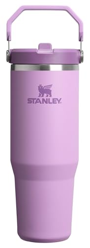 STANLEY IceFlow 2.0 30 oz Lilac Flip Straw Tumbler with Leakproof Lid