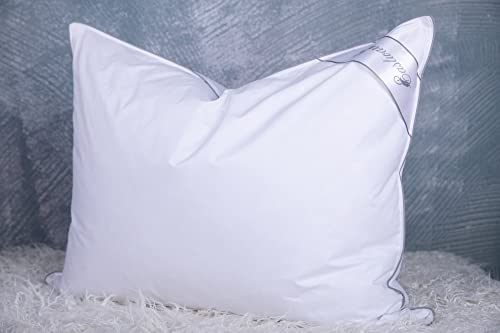 Eastwarmth Set of 2 Cooling Goose Feather Down Pillows - Standard 20x26in, White Gussted Cover, Back & Side Sleepers
