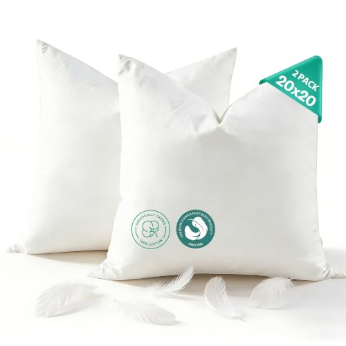 White Goose Feather Down Throw Pillow Inserts 20x20 Inch Set of 2 - Organic Cotton Cover