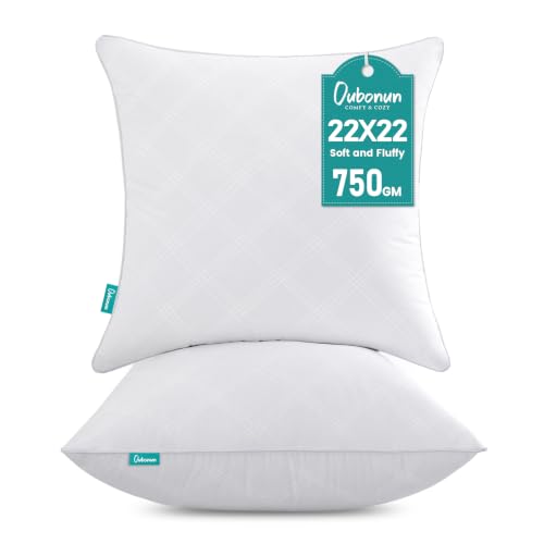 22x22 Inch Throw Pillow Inserts Set of 2 - Soft Decorative Couch Cushions - Variation of THIS listing 22×22 inch / 2