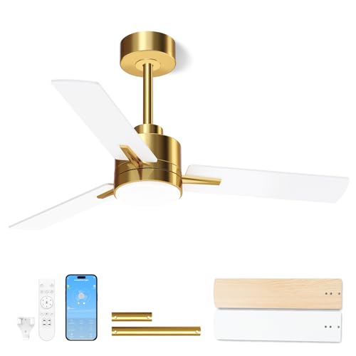 Metal Ceiling Fan with Lights and Remote Control - 42 Inch, Gold & White, Downrod Variation