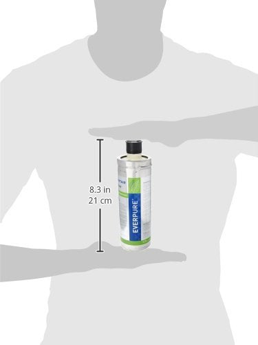 Everpure 2H-L Aquverse A100 Water Cooler Filter Cartridge Replacement