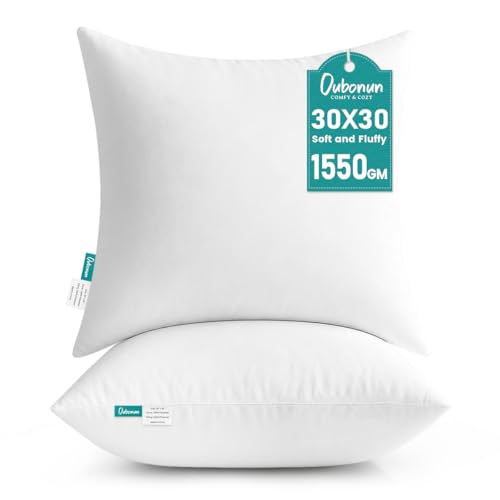 2 Pack 30x30 Inch Throw Pillow Inserts - Square Cushion Filling