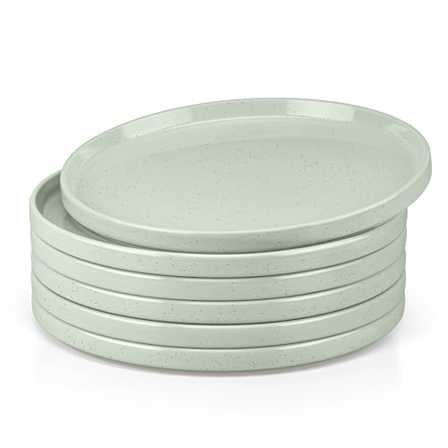 Herogo Stoneware Dinner Plates Set of 6, 10.5" Ceramic Round Plate