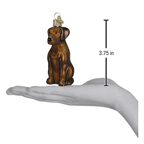 Old World Christmas Chocolate Labrador Dog Ornament Holiday Decor - Hand-Painted Glass