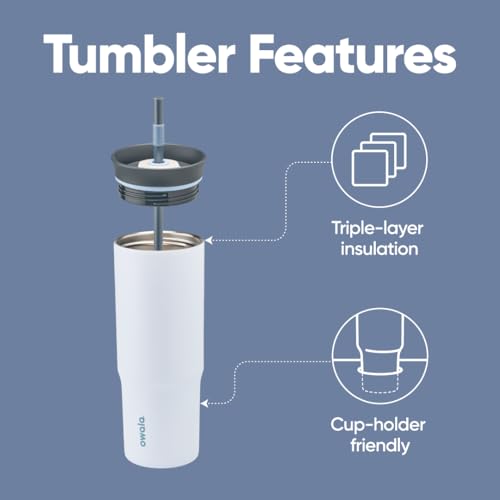 24 Oz Stainless Steel Water Bottle with Removable Straw - The Great Blue - Owala Tumbler