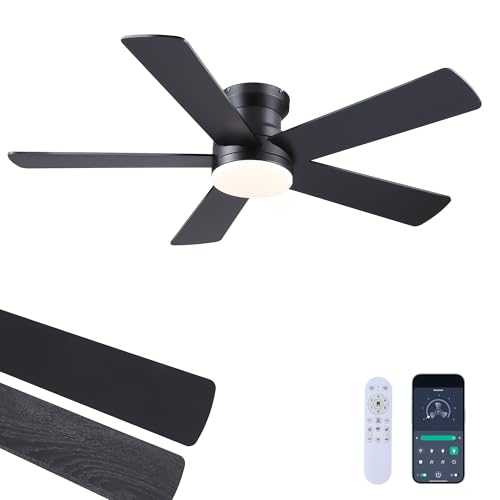 Ayaoty 48in Black Flush Mount Ceiling Fan with Lights, 6-Speed Dimmable Reversible Motor