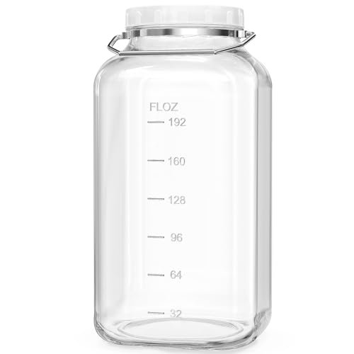 2 Gallon Airtight Glass Storage Jar with Removable Handle - Large Kitchen Canister