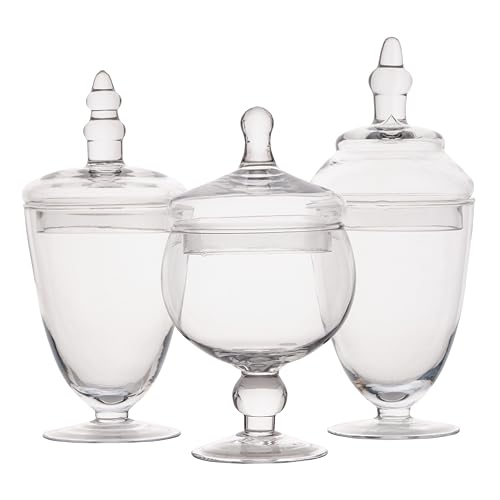 Set of 3 Clear Glass Apothecary Jars with Lids for Storage and Display
