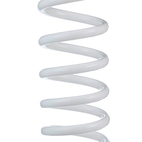 Seachoice Coiled Washdown Hose with Sprayer & Brass Fittings - 25 Ft. White, Hose