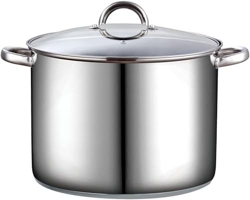 16 Quart Stainless Steel Stock Pot with Lid - Large Cooking Pot for Soup & Pasta, Silver Variation