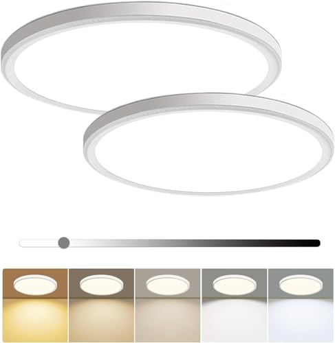 2 Pack 16 Inch Dimmable LED Ceiling Light - White Super Slim Flat Fixture with 5 CCT