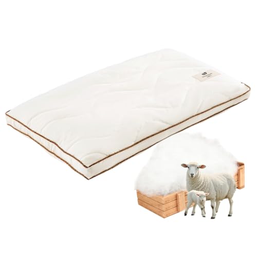 Off White Queen Wool Pillow - Flat & Soft Support for Sleep, Breathable Cotton Cover