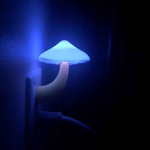 AUSAYE Blue Led Lamp Mushroom Nigh Light,Plug in Nightlight,Sensor Night Lights for Kids Adults Bedroom,Bathroom,Toilet,Stairs,Kitchen,Hallway Christmas Thanksgiving Gifts