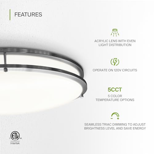 ASD LED 24" Oval Flush Mount Lighting, Close to Ceiling Light Fixture