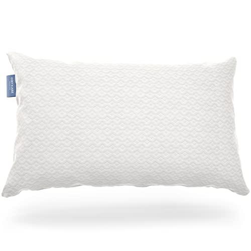 Queen White Rayon Bamboo Memory Foam Pillow - Adjustable & Cooling
