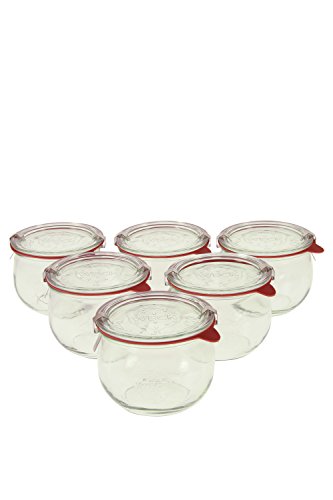 Set of Six 1/2L Tulip Glass Food Storage Jars with Sealed Lids
