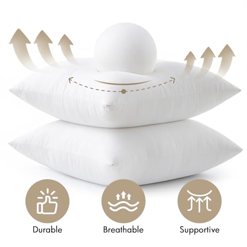 20x20 Inch Pillow Inserts 4 Pack - Virgin Fiber Filling Support Cushions Variation of 4 / 20x20 Inch