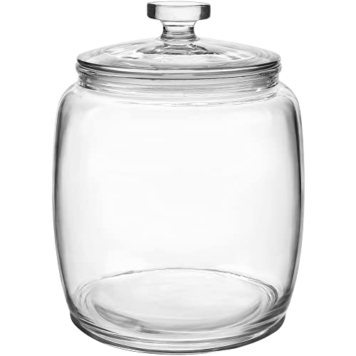 Large 2.5 Gallon Glass Storage Jar with Wide Mouth and Lid - Food & Kitchen