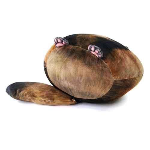 Raccoon Plush, 12" Raccoon Stuffed Animal, Cute Plushies for Girls, Soft Plush Pillow, Kitten Plush Throw Pillow Doll Big Plush Toy Decoration Doll Gift for Kids,Girls, Boys Birthday Christmas