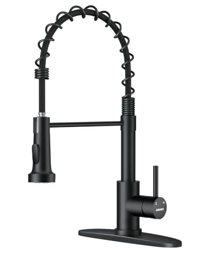 Black Kitchen Faucet with Pull Down Sprayer & High Arc Spout - Matte Black / Classic