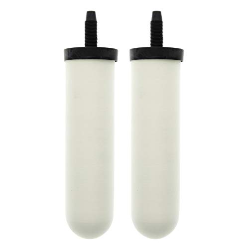 Ceramic Water Filter 0.5 Micron Super Sterasyl for Gravity Systems 2 Pack
