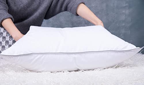 Eastwarmth Set of 2 Cooling Goose Feather Down Pillows - Standard 20x26in, White Gussted Cover, Back & Side Sleepers