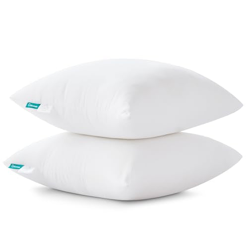 2 Pack 30x30 Inch Throw Pillow Inserts - Square Cushion Filling