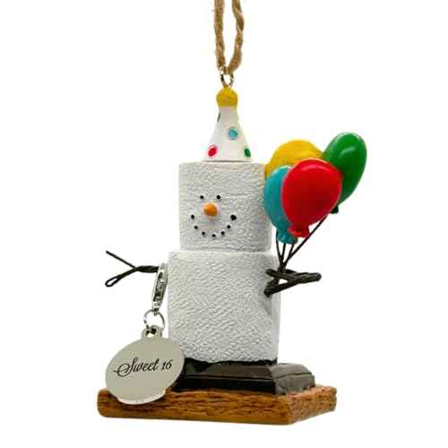 S¡¯More Birthday Ornaments for Christmas Tree, Desk, Shelf - Happy Birthday Ornaments Sweet 16