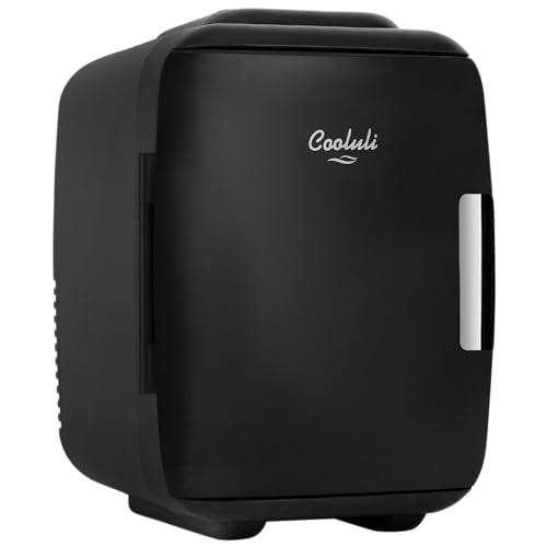 Mini Fridge Cooler & Warmer 4L - Portable Food & Skincare Storage - Black - 12V USB Included