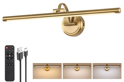 Rechargeable Brass Picture Light for Wall - 23.6 Inch Dimmable Art Sconce with Remote & Timer