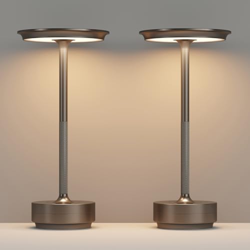 FDIDC 2 Pack Rechargeable Cordless LED Table Lamps with 5000mAh Battery, Stepless Dimmable, Cafe/Home/Office