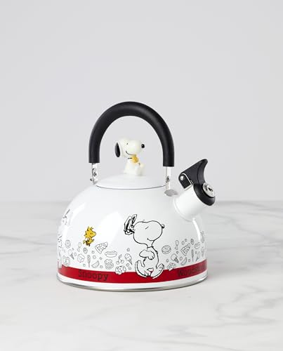 Enamelware Tea Kettle with Snoopy & Woodstock - 84.5oz, Whimsical Kitchen Decor - Tea Kettle Variation