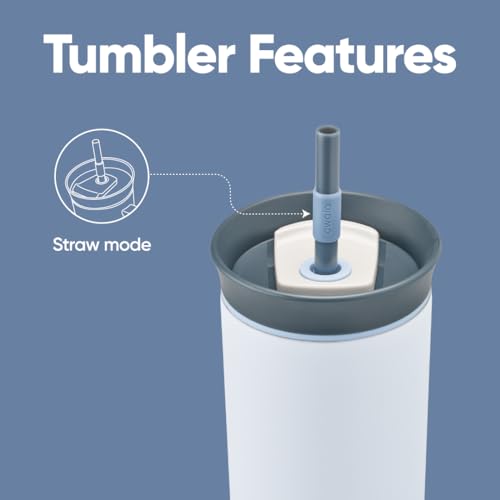 24 Oz Stainless Steel Water Bottle with Removable Straw - The Great Blue - Owala Tumbler