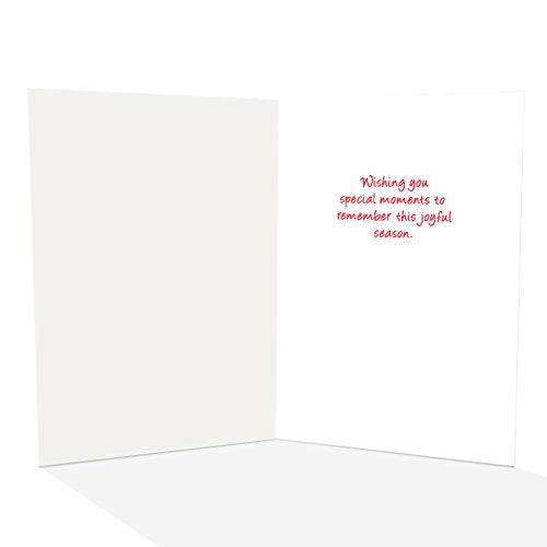 Stonehouse Collection | Funny Dog & Cat Christmas Cards - Awkward