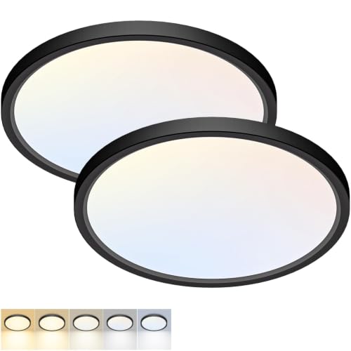 Black 12-Inch LED Flush Mount Ceiling Light 5 Color Temperatures - 2 Pack