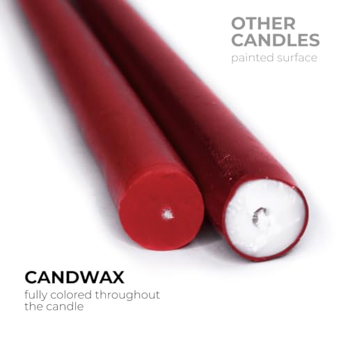 CANDWAX 12 inch Burgundy Taper Candle Set of 12 - Unscented, Dripless Smokeless for Christmas & Dinner Table Centerpieces