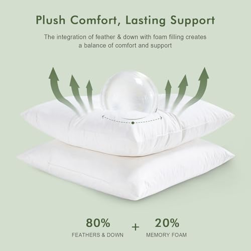 White 20x20 Inch Feather Down Throw Pillow Inserts Set of 2 - Organic Cotton Cover