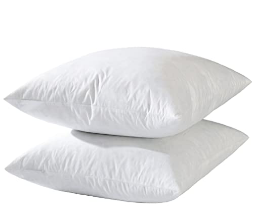 20x20 Hotel-Style Goose Feather Pillow Insert - Plump, Odorless Cushion for Sofa & Bed