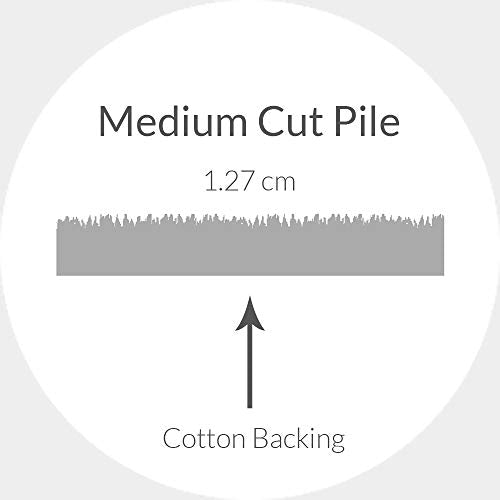 SAFAVIEH Cambridge Collection 3' x 5' Light Blue/Ivory CAM121A Handmade Trellis Premium Wool Area Rug