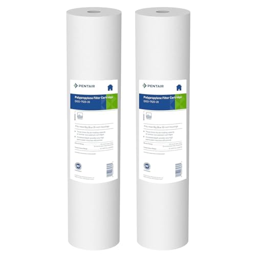 Sediment Filter Pack of 2 - 25 Micron Big Blue 20-Inch Water Filter
