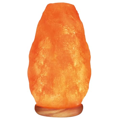 Himalayan Glow Pink Salt Lamp with Dimmable LED Night Light, Wooden Base, 6-8 lbs