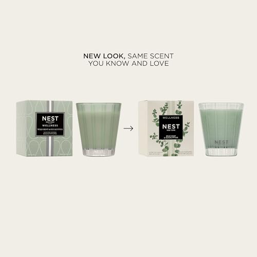 Scented Candle - Wild Mint & Eucalyptus - 8.1 oz, Up to 60-Hour Burn - Reusable Glass Vessel