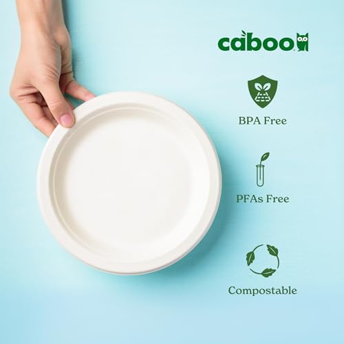 Disposabe Bamboo Paper Plates 125 Pack - 10 Inch Eco-Friendly, Biodegradable Party Tableware