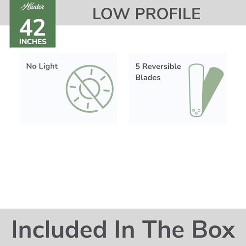 Hunter Low Profile IV 42 Inch Indoor Ceiling Fan - Snow White, No Light, Flush Mount