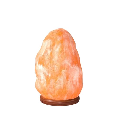 Large 8-10 Inch Himalayan Salt Lamp with Dimmer - Pink Rock Night Light & Wooden Base